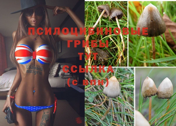 МДПВ Алексеевка