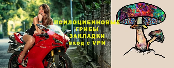 МДПВ Алексеевка