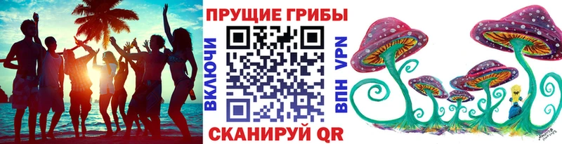 Псилоцибиновые грибы GOLDEN TEACHER Николаевск-на-Амуре